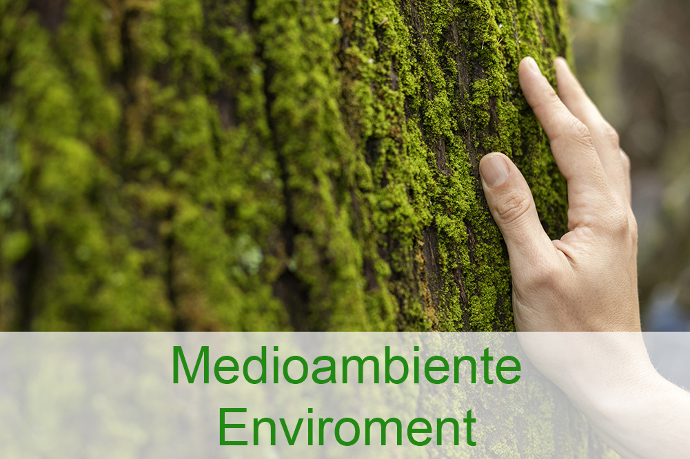 Medioambiente_1001x667